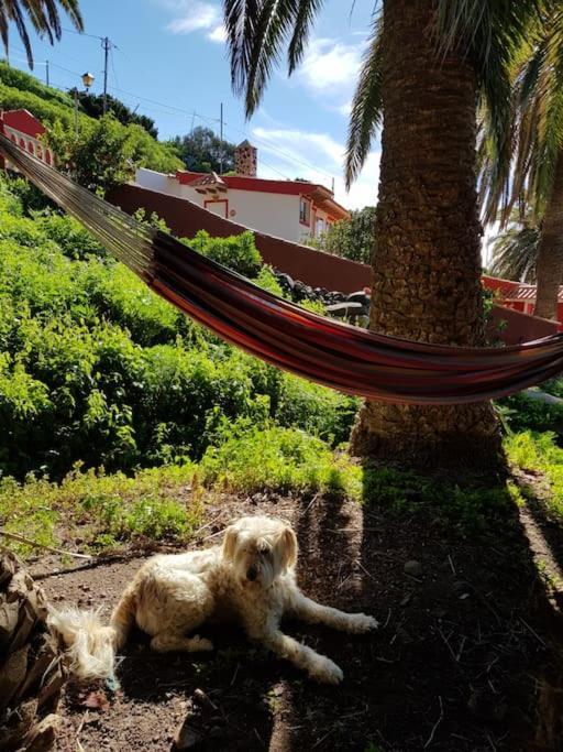 バジェエルモソHyggeland II - Oase Der Ruhe Im Palmendorf Tazoアパートメント エクステリア 写真