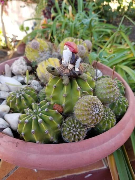バジェエルモソHyggeland II - Oase Der Ruhe Im Palmendorf Tazoアパートメント エクステリア 写真