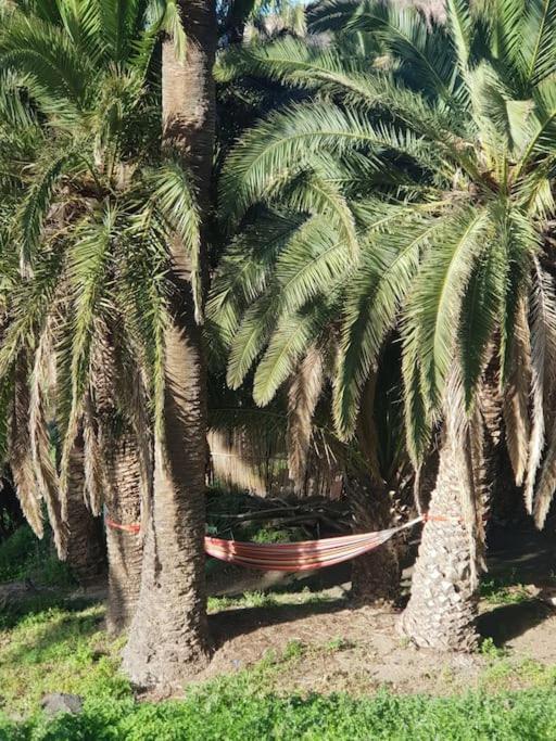 バジェエルモソHyggeland II - Oase Der Ruhe Im Palmendorf Tazoアパートメント エクステリア 写真